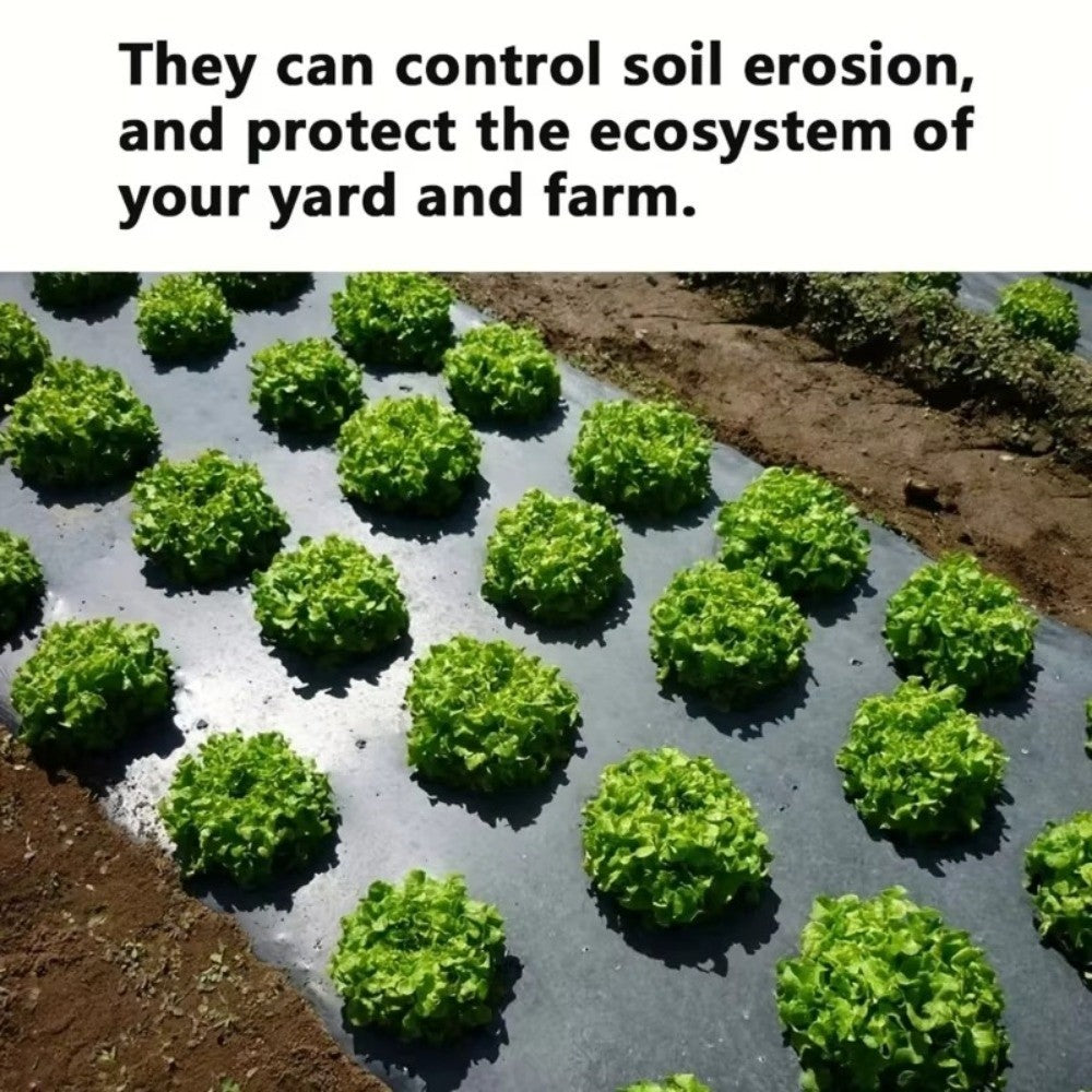 Pre-Punched Holes Perforated Plastic Mulch Film Agricultural