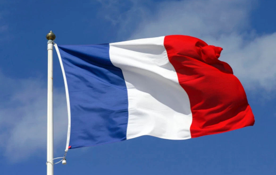 Large France French Flag 3x5ft FR National Symbol 90x150cm Banner Outdoor Garden