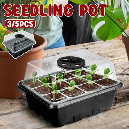 Seed Starter Tray Set 3X 5X 12 Cell Black Plant Nursery Grow Box Propagation Kit
