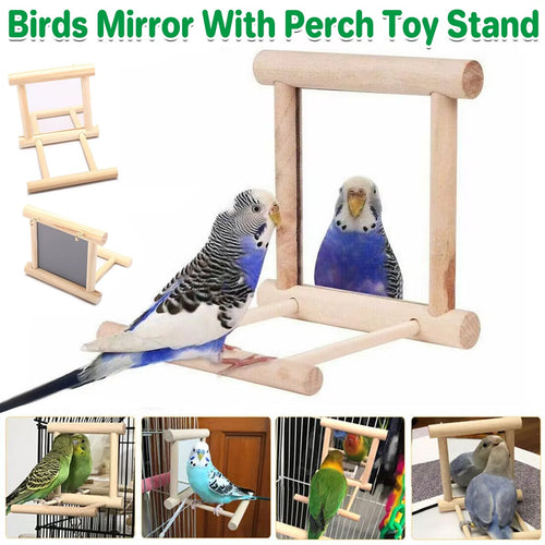 Bird Mirror Toy with Perch Cage Hanging Play Stand for Parrot Cockatiel Parakeet