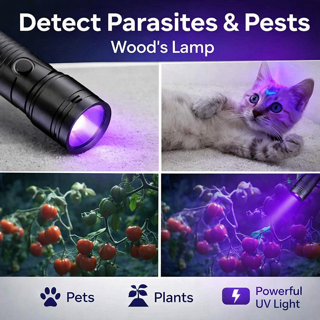 UV Ultra Violet LED Flashlight Blacklight Light 365 395 nM Inspection Lamp Torch