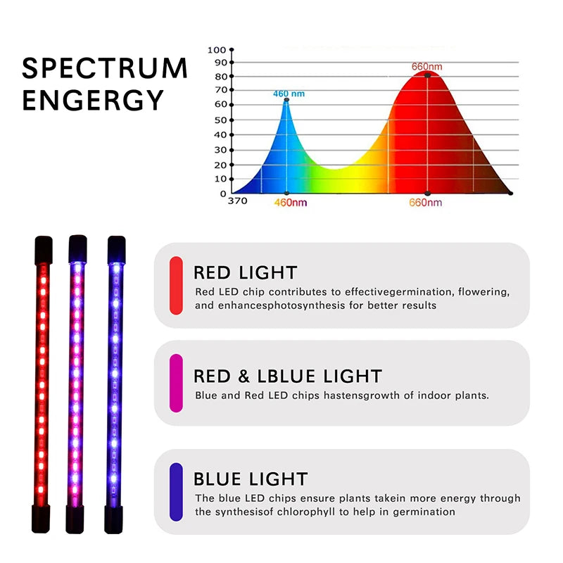 4 Head LED Grow Light with Stand for Indoor Plants Full Spectrum Plant Grow Lamp