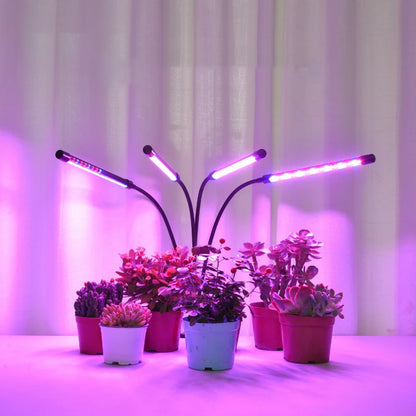 4 Head LED Grow Light with Stand for Indoor Plants Full Spectrum Plant Grow Lamp