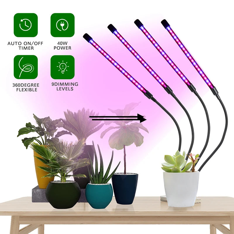 4 Head LED Grow Light with Stand for Indoor Plants Full Spectrum Plant Grow Lamp