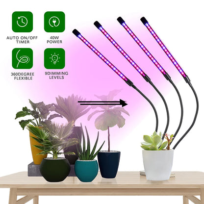 4 Head LED Grow Light with Stand for Indoor Plants Full Spectrum Plant Grow Lamp