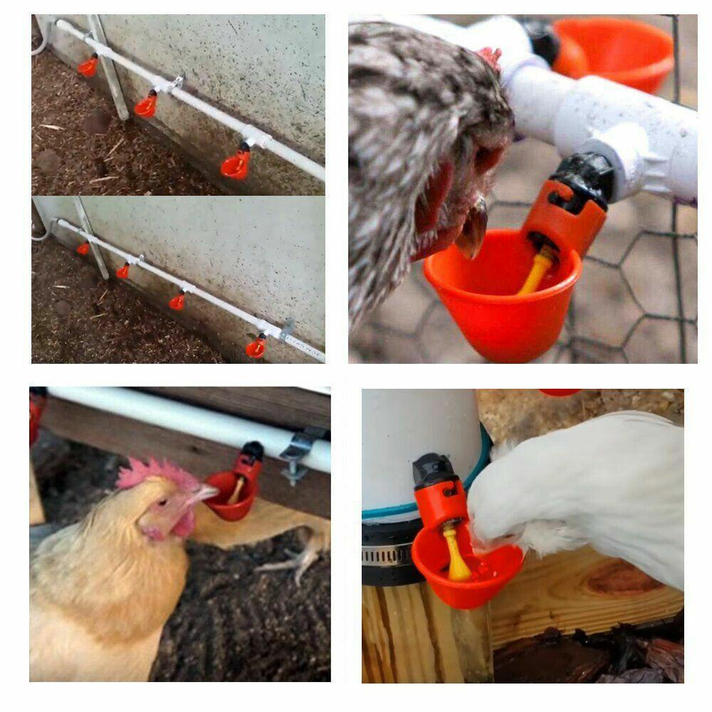 10 Pcs Automatic Cups Water Feeder Drinker Chicken Waterer Poultry Chook Bird AU