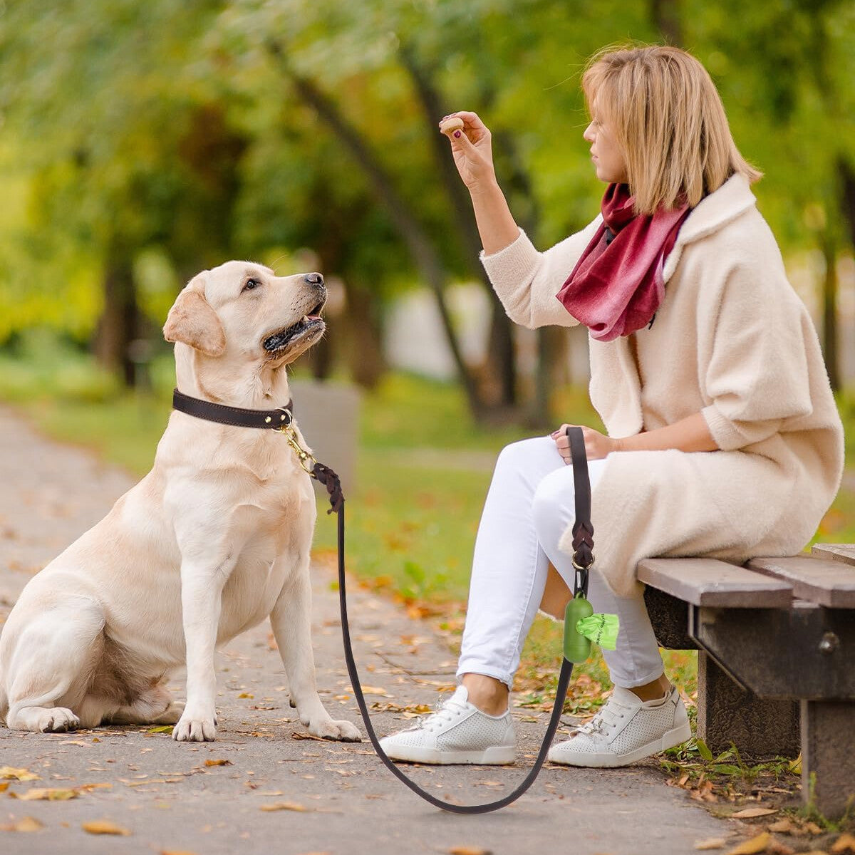Leather Dog Leash Handcrafted Braided Lead 1.5M Strong Pet Training Walking AU