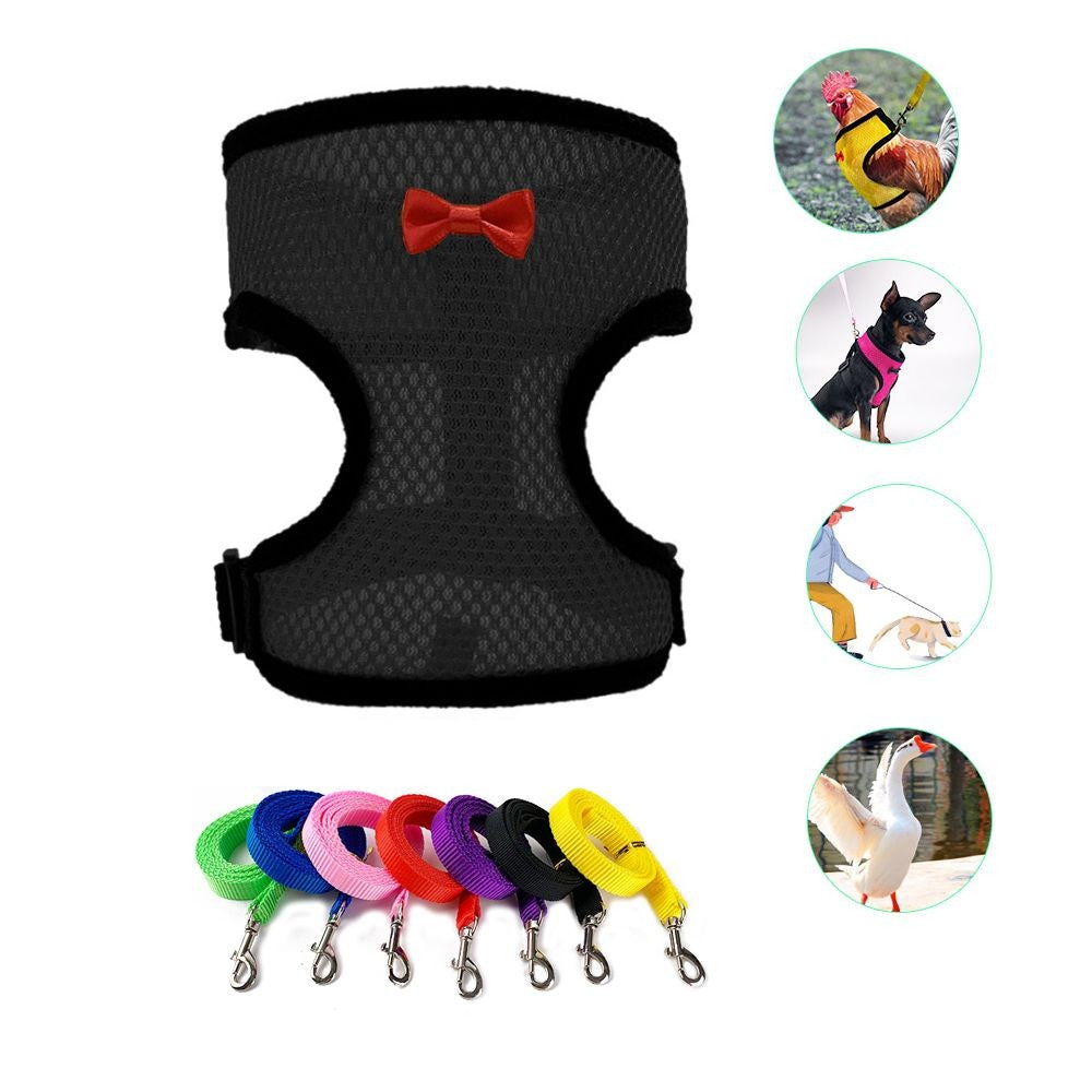 Supplies Adjustable Pet Matching Collars Bow Hen Belt Chicken Vest Harness