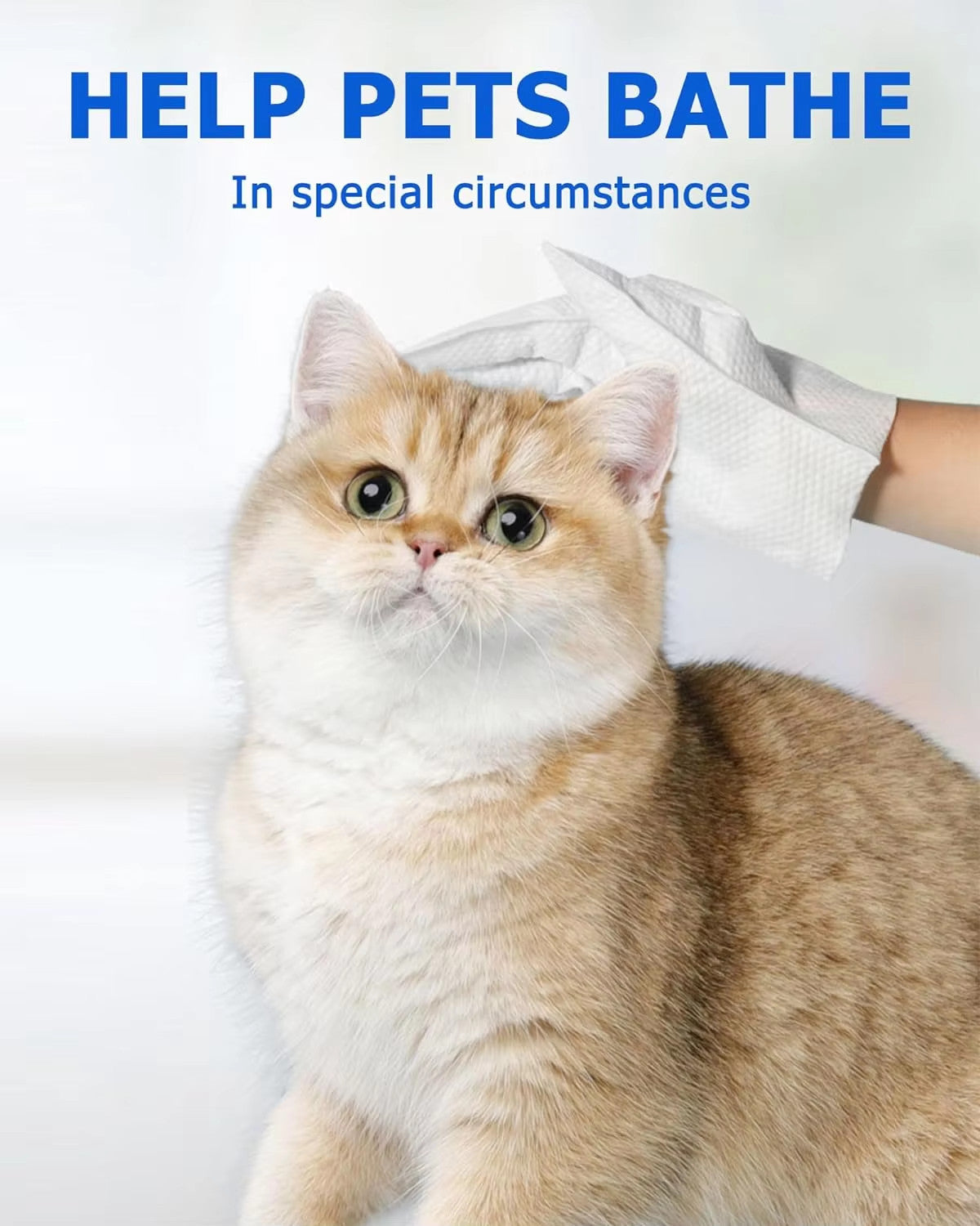 Cleaning Wipes Gloves for Dog and Cat,Pet Bathing Wipes Cleaning & Deodorizing,D