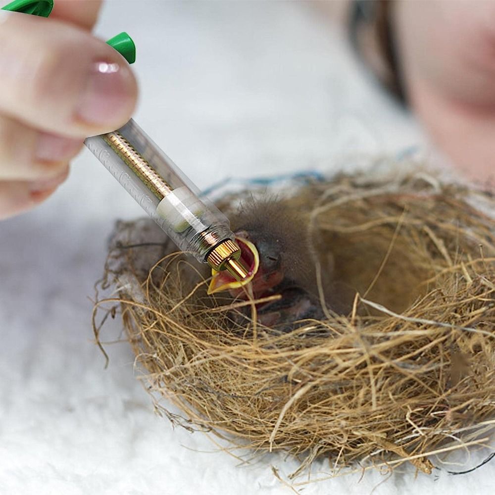 With Accurate Scale Baby Birds Feeding Injector Kit  Bird