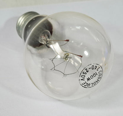 10 x 100W Clear Light Globes Bulbs E27 Screw Incandescent Dimmable Warm White