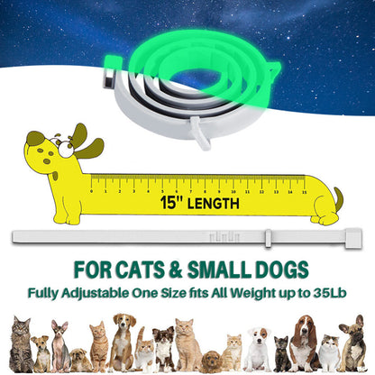 62cm Glow in the dark Collar Dog Cat Ticks & Flea Treatment 8 Months Protection
