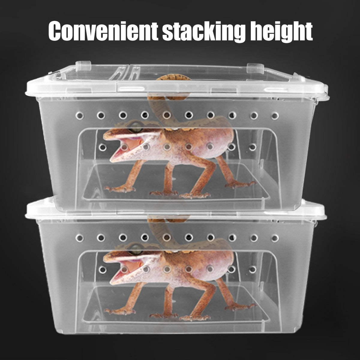 Clear Plastic Reptile Breeder Case Small Enclosure Isopod Bugs Carrier Terrarium
