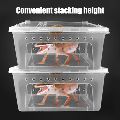 Clear Plastic Reptile Breeder Case Small Enclosure Isopod Bugs Carrier Terrarium