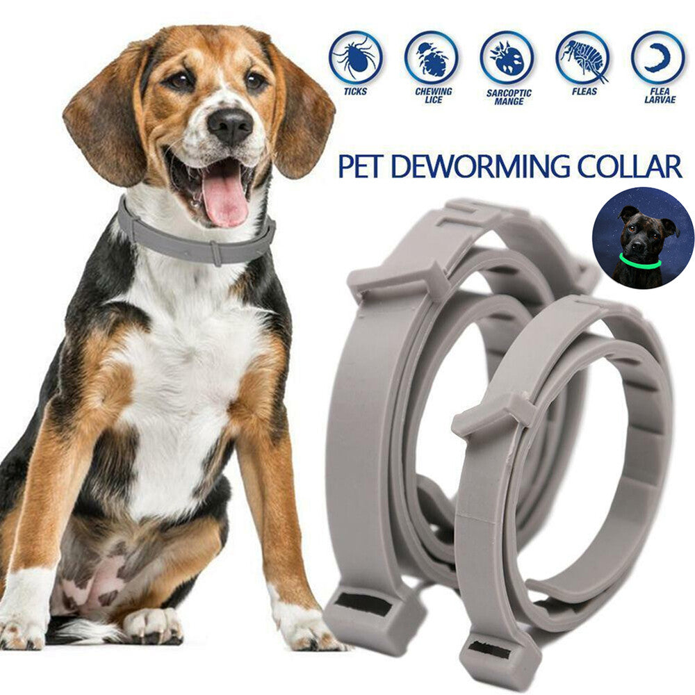 62cm Glow in the dark Collar Dog Cat Ticks & Flea Treatment 8 Months Protection