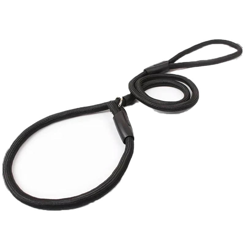 Dog Training Correction Leash Lead Cesar Puppy Pets Millan Slip Nylon Rope AU