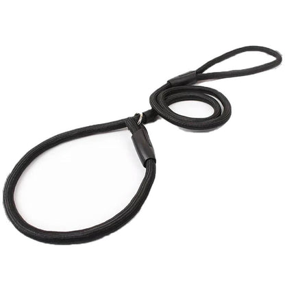 Dog Training Correction Leash Lead Cesar Puppy Pets Millan Slip Nylon Rope AU
