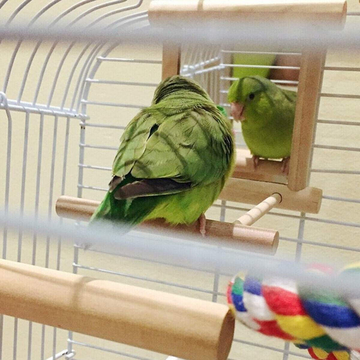 Bird Mirror Toy with Perch Cage Hanging Play Stand for Parrot Cockatiel Parakeet
