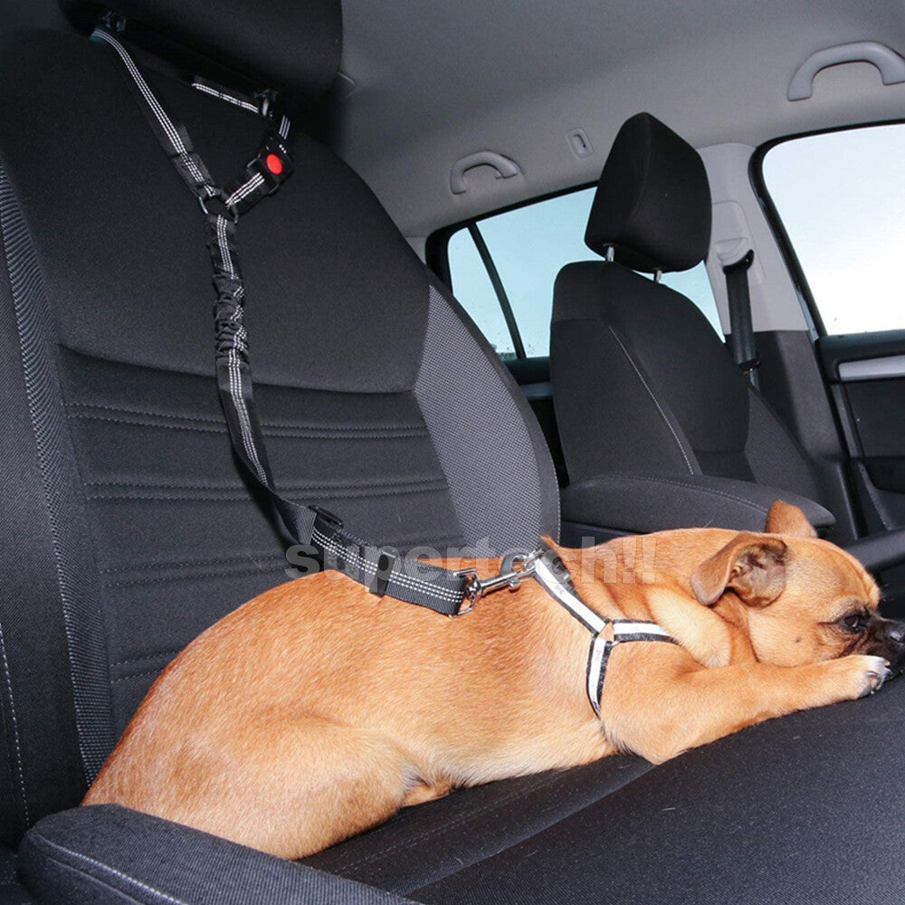 Headrest Anti Shock Pet Dog Car Seat Belt Bungee Lead Travel Safety Harness Clip – Compatible with Seat