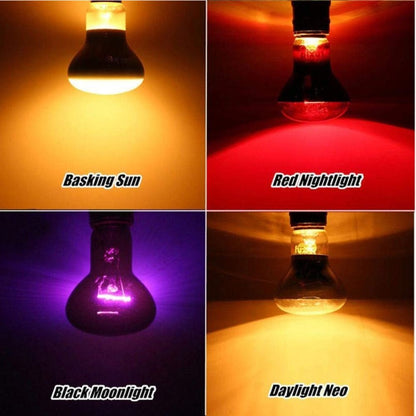 UVA Lamp Amphibian Bird Light Heat Reptile Bulb Snake Day/Night Pet Heating Lamp