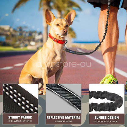 Dog Traction Rope Training Lead Leash with Car Buckle Nylon Bungee Heavy Duty