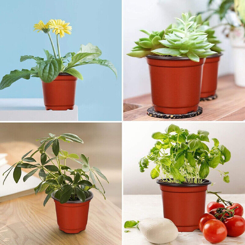 100PCS Plastic Plant Flower Garden Pots Nursery Seedlings Pot Growing Container