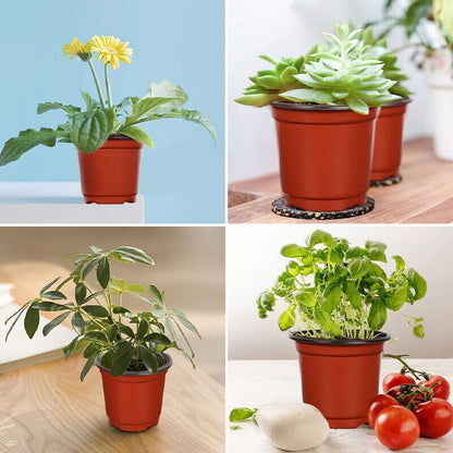 100PCS Plastic Plant Flower Garden Pots Nursery Seedlings Pot Growing Container