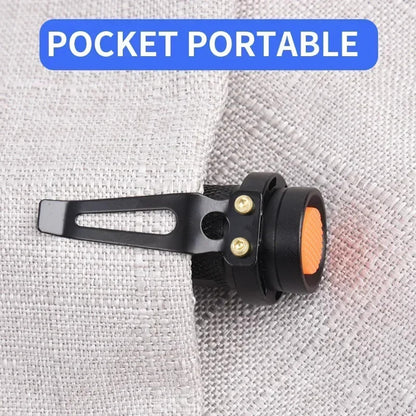 UV Ultra Violet LED Flashlight Blacklight Light 365 395 nM Inspection Lamp Torch