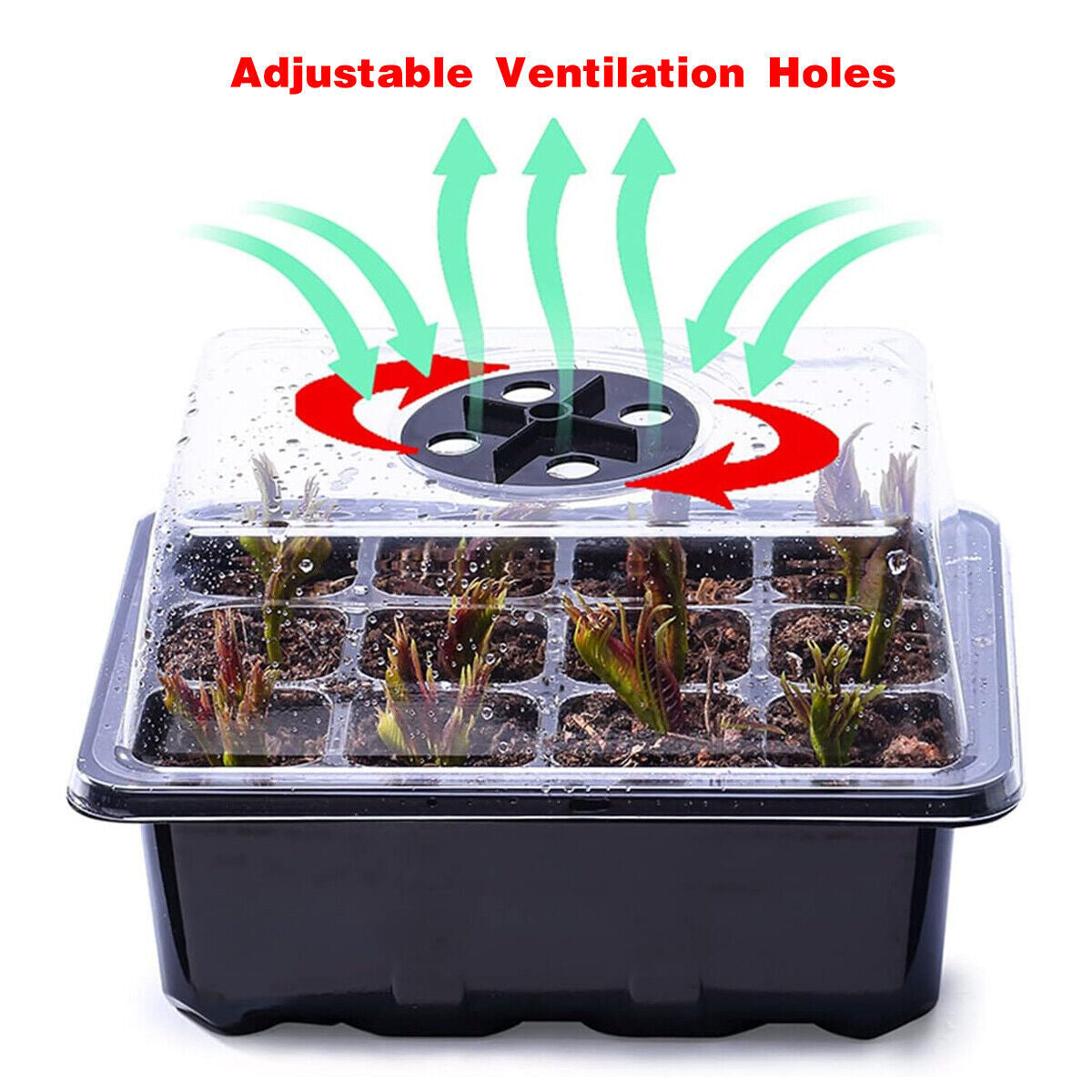 Seed Starter Tray Set 3X 5X 12 Cell Black Plant Nursery Grow Box Propagation Kit