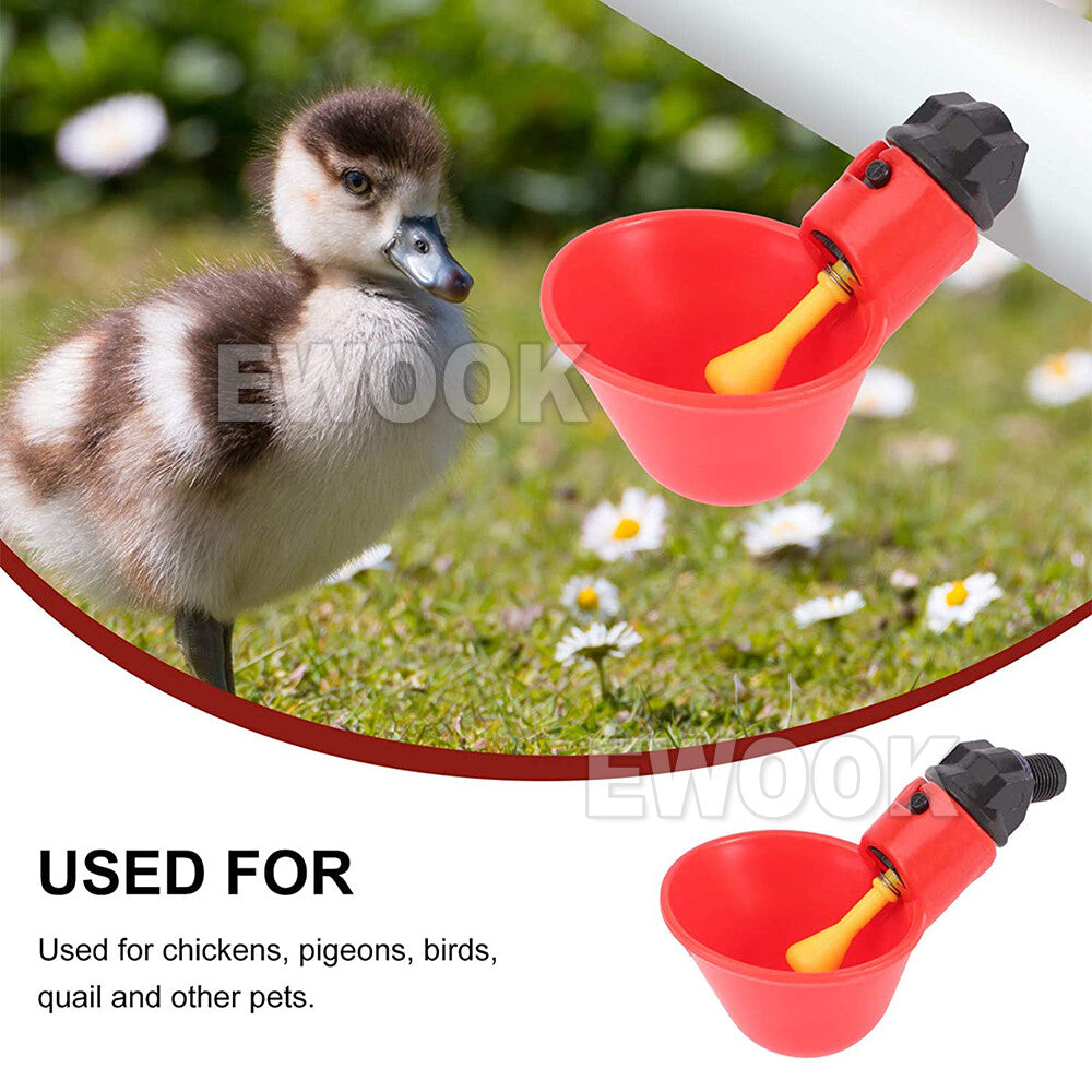 10x Automatic Cups Water Feeder Drinker Chicken Waterer Poultry Chook Bird VIC