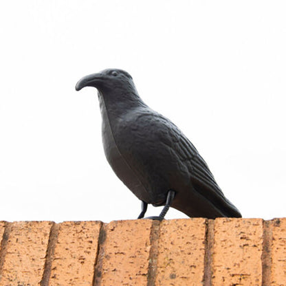 Pigeon Scarer Life Size Decoy Crow Pest Control Repellent Deterrent Scarecrow AU