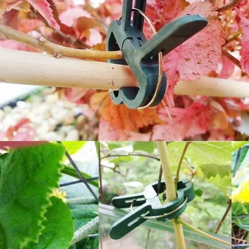 100x Garden Plant Clip Tomato Tie Stem Orchid Support Weatherproof Grow Training