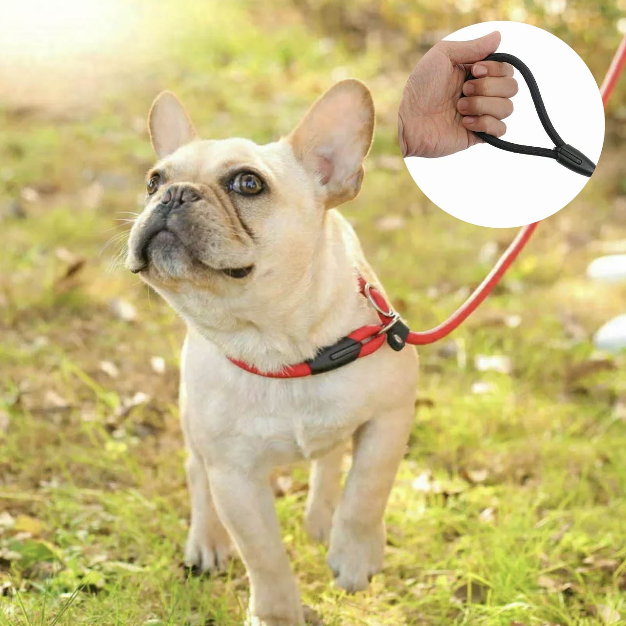 Dog Training Correction Leash Lead Cesar Puppy Pets Millan Slip Nylon Rope AU