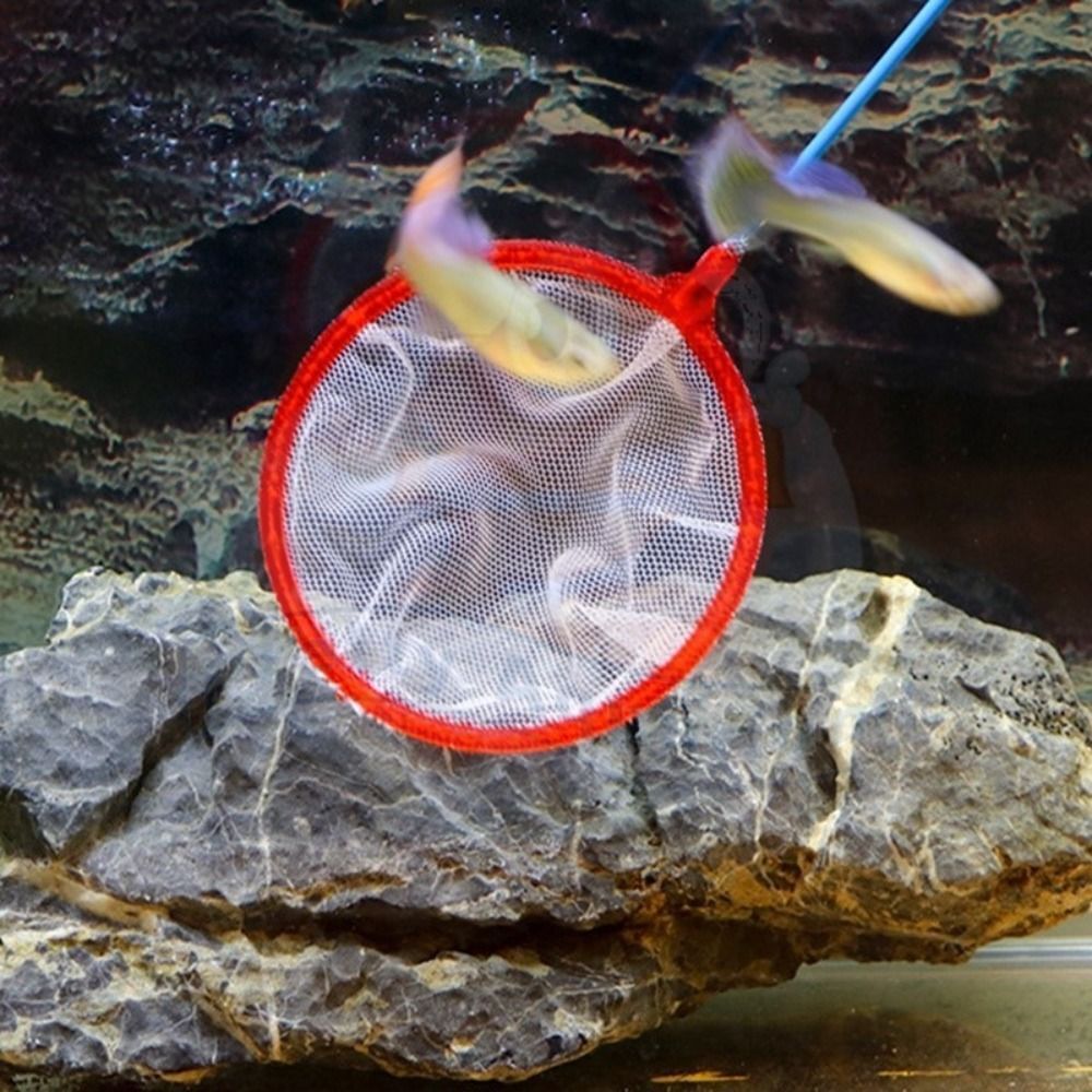 Plastic Aquarium Shrimp Net Random Color Fine Net Mesh  Small Ponds
