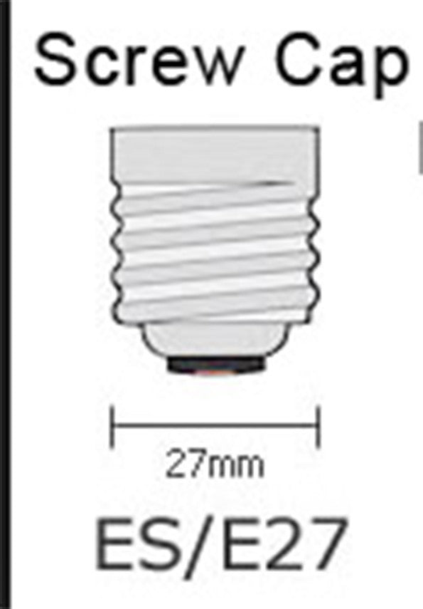 10 x 100W Clear Light Globes Bulbs E27 Screw Incandescent Dimmable Warm White