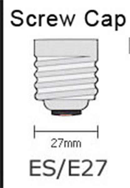 10 x 100W Clear Light Globes Bulbs E27 Screw Incandescent Dimmable Warm White