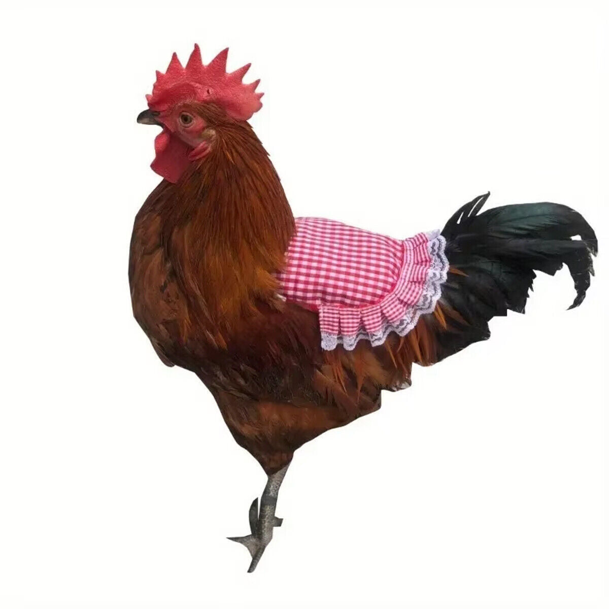 Chicken Hen Apron Feather Protector 5pcs Poultry Saddle Cover for Birds Rooster