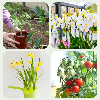 20Pcs Potted Plants Flowers Plant Sticks Bendable Plant Support Stakes