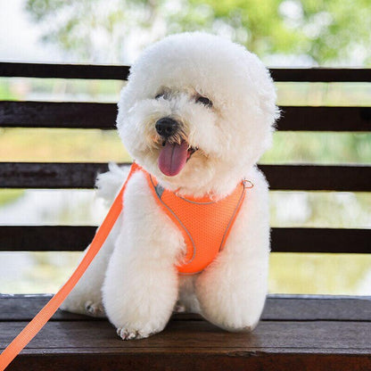 Soft Mesh Step in Dog Harness+Lead Set Reflective Breathable Vest for Puppy Cats