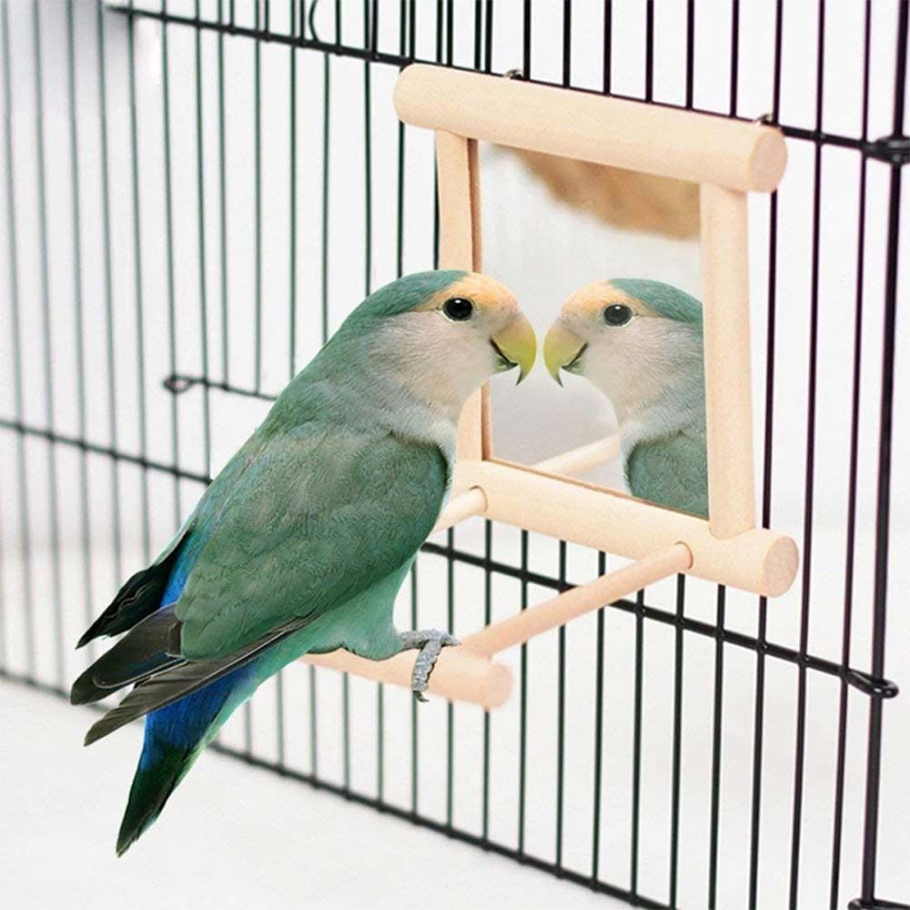 Bird Wood Perch Stand With Mirror Swing Parrot Pet Budgie Cage Hanging Toy AU