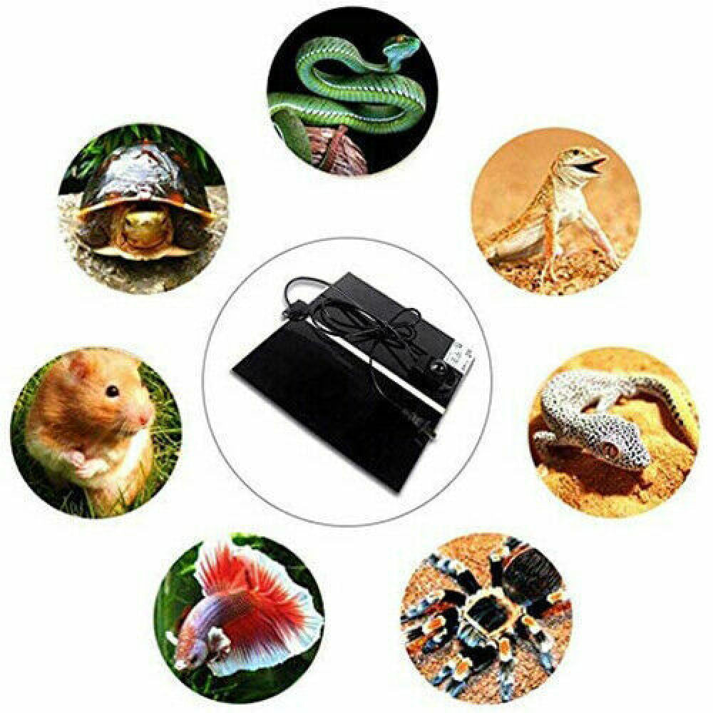 1/2pcs Pet Electric Reptile Heating Mat Pad Warmer for Hermit Crab Frog Lizard