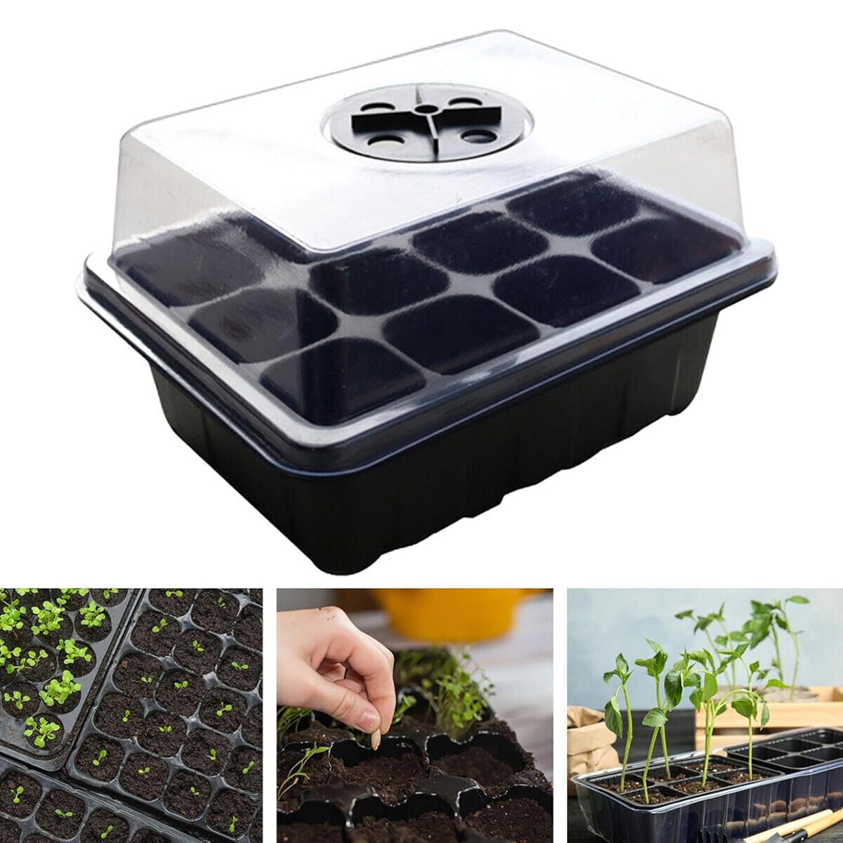Seed Starter Tray Set 3X 5X 12 Cell Black Plant Nursery Grow Box Propagation Kit