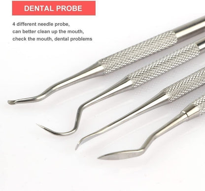 Stainless Dental 6pcs Tools Set Kit Dentist Teeth Clean Hygiene Mirror Oral Care