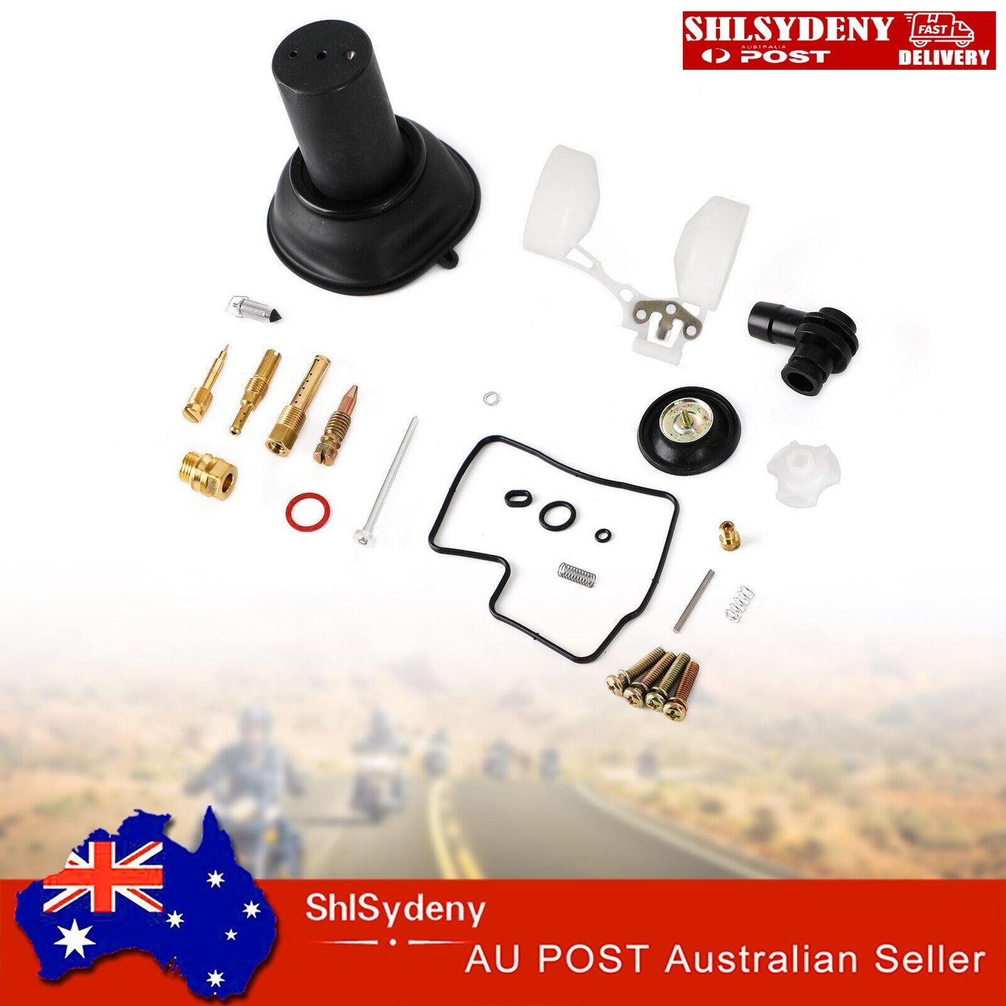 Carburetor Carb Rebuild Kit With plunger & float Compatible with for Honda VLX400 Steed 400