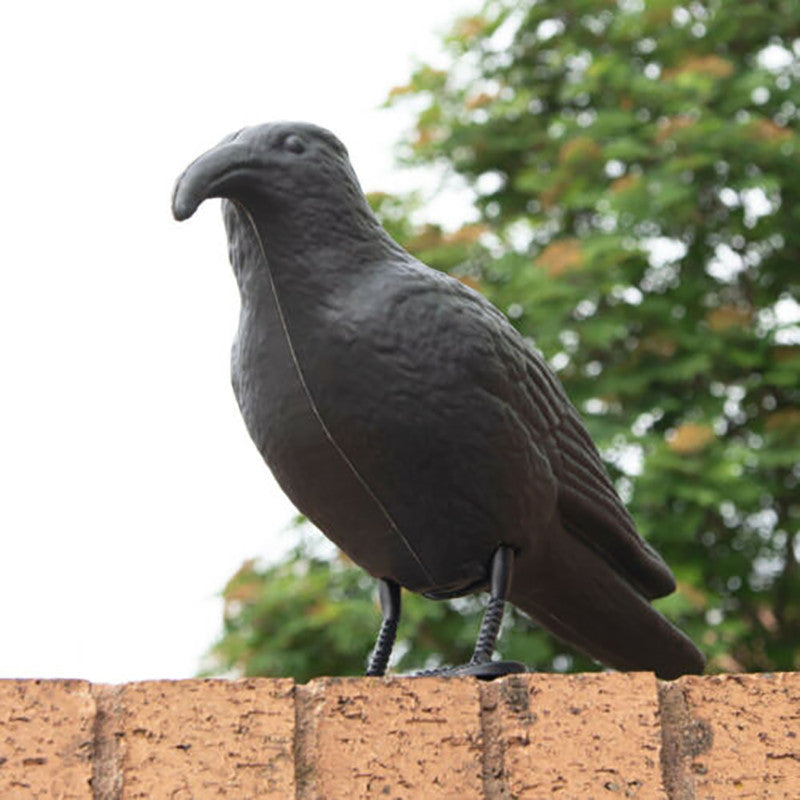 Pigeon Scarer Life Size Decoy Crow Pest Control Repellent Deterrent Scarecrow AU