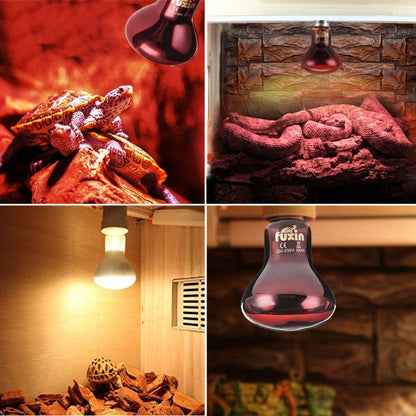 UVA Lamp Amphibian Bird Light Heat Reptile Bulb Snake Day/Night Pet Heating Lamp