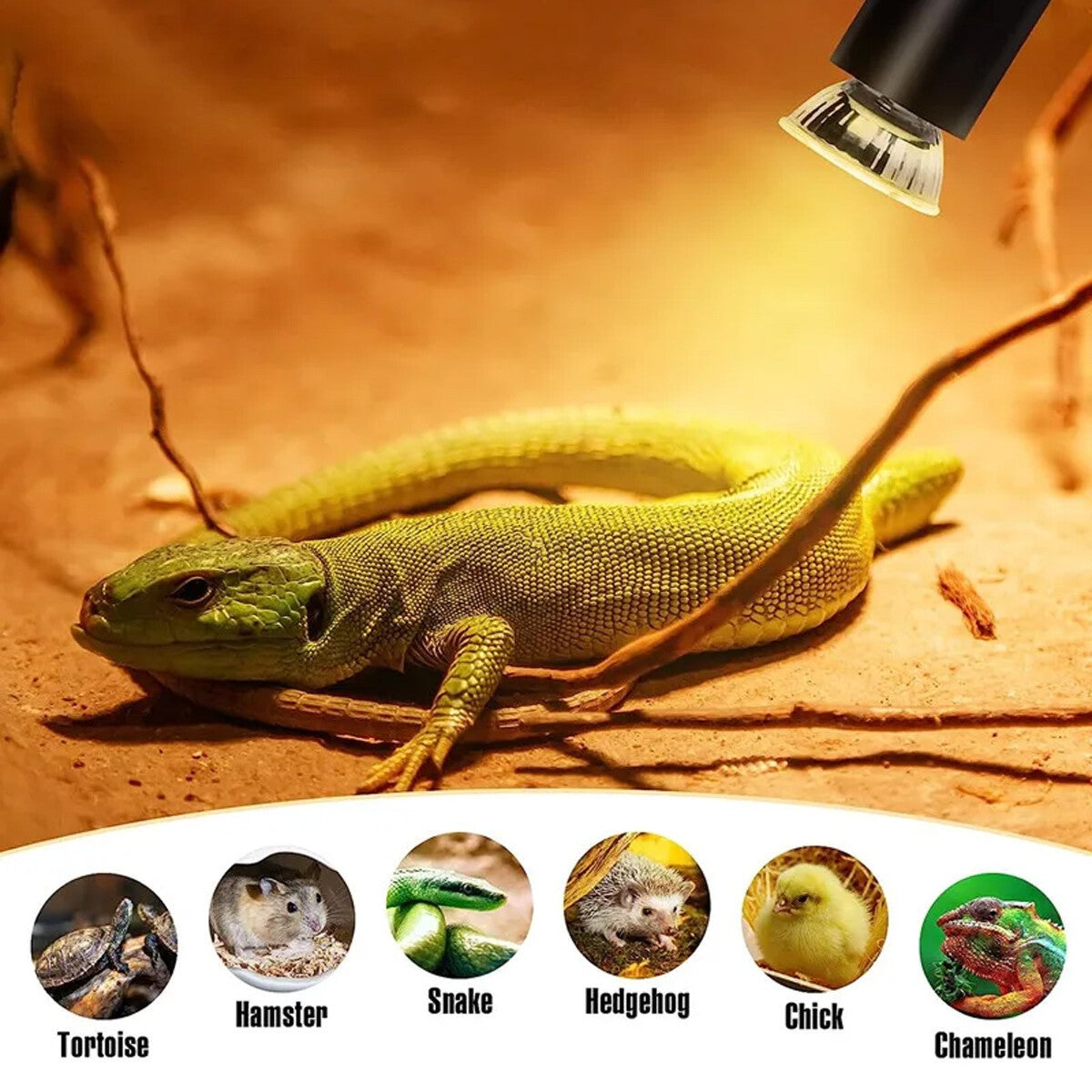 25/50/75W Heat Lamp Reptile Light Bulb UV UVB+UVA Tortoise Calcium Supplement