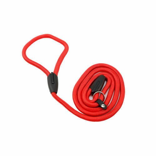 NSW Cesar Millan Dog Puppy Training Correction Leash Slip Lead Pets Nylon Rope