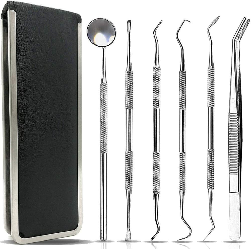 Stainless Dental 6pcs Tools Set Kit Dentist Teeth Clean Hygiene Mirror Oral Care