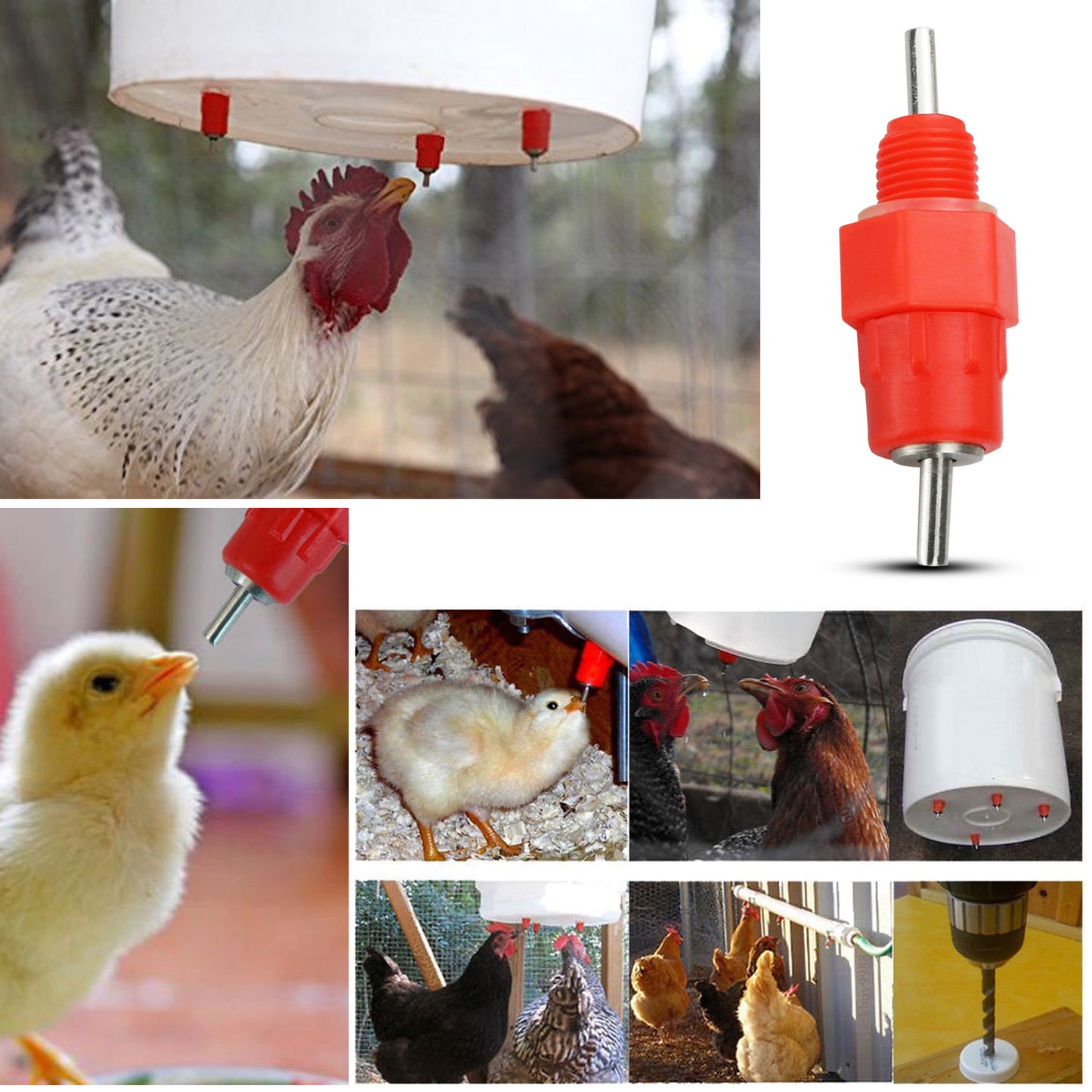 30Pcs Chicken Turkey Water Nipple Drinkers Poultry Duck Hen Bird Drinking Feeder